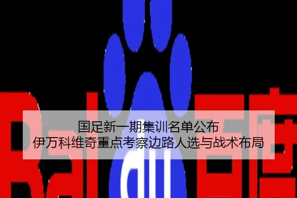 国足新一期集训名单公布 伊万科维奇重点考察边路人选与战术布局
