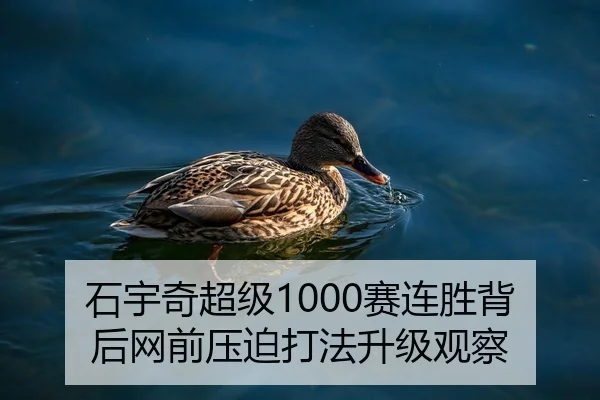石宇奇超级1000赛连胜背后网前压迫打法升级观察